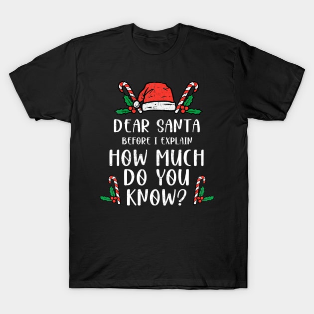 Dear Santa I Can Explain Funny Christmas Pajama Adults Kids T-Shirt by _So who go sayit_